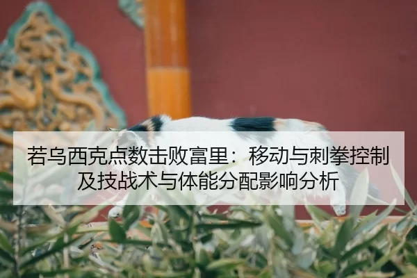 若乌西克点数击败富里：移动与刺拳控制及技战术与体能分配影响分析